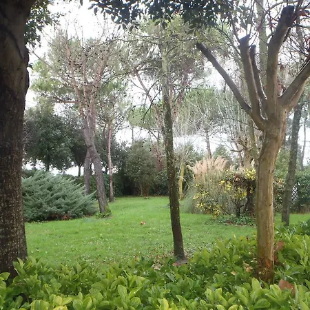 Hotel Airone Pisa Ristorante San Giuliano Terme