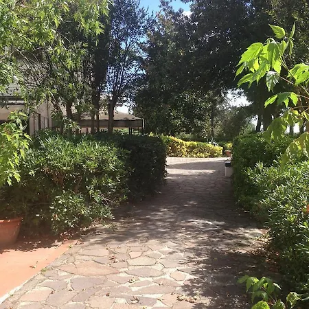 Hotel Airone Pisa Ristorante 3*